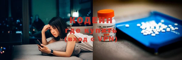прущие грибы Сатка