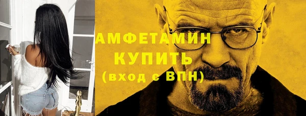 прущие грибы Сатка