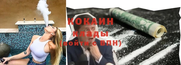 прущие грибы Сатка